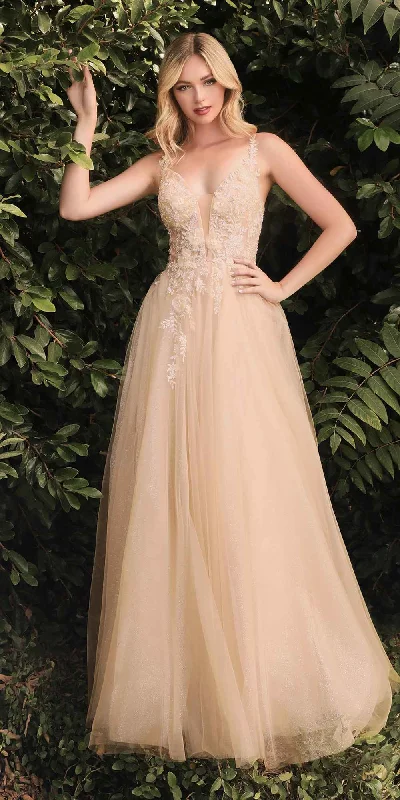 Cinderella Divine CB075 Long Floral A-Line Tulle Gown